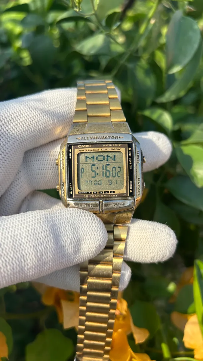 Casio DataBank