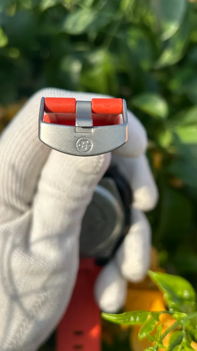 Timex expedition  thumb 5